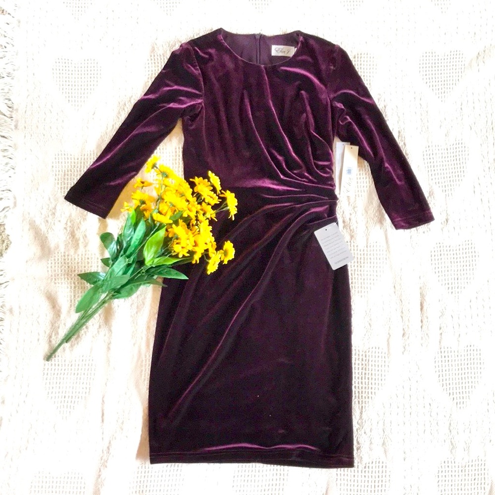 Eliza J Burgundy velvet dress